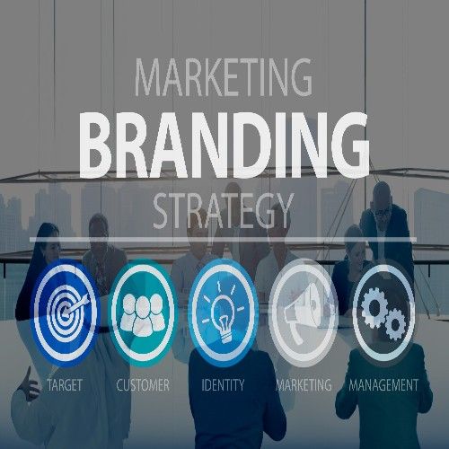 Why We Can Use trandingbrands.com?