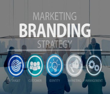 Why We Can Use trandingbrands.com?